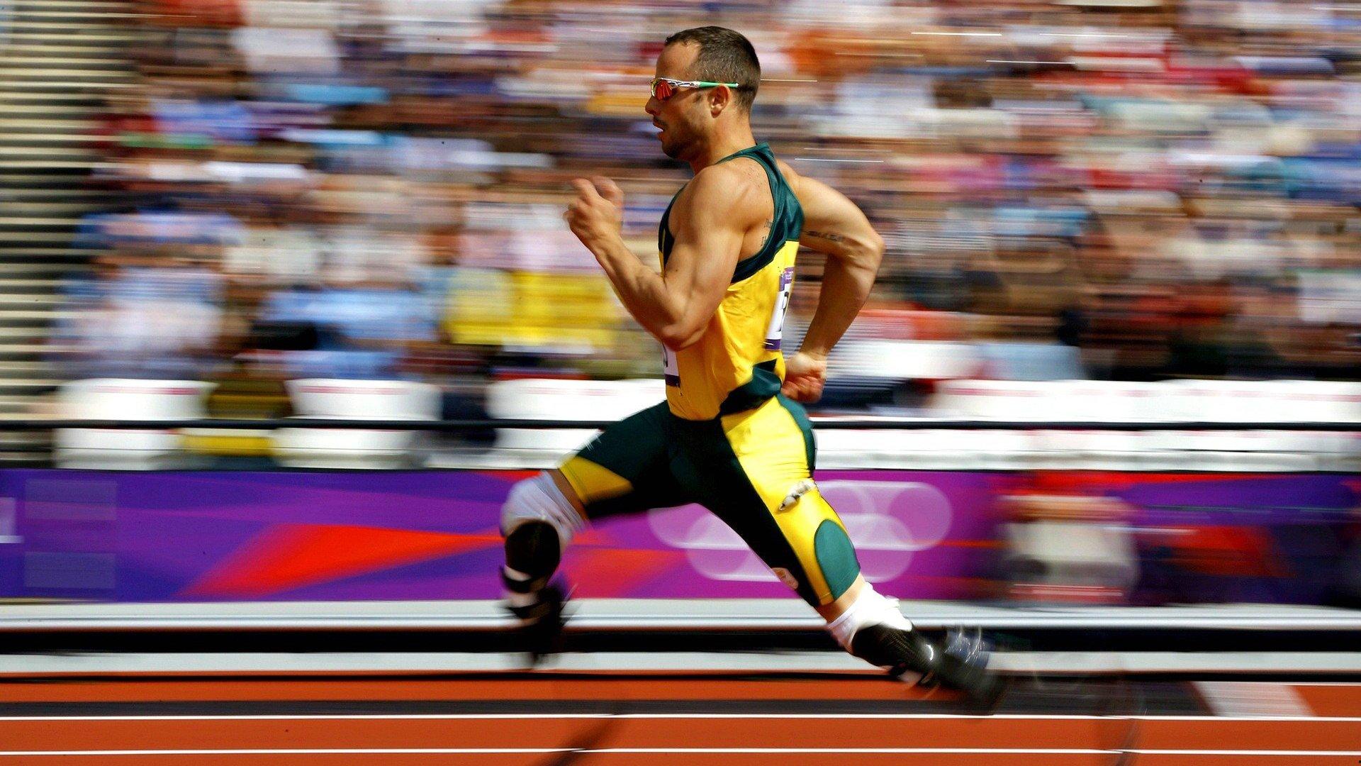 激情与传承，全球球迷文化如何塑造现代体育精神