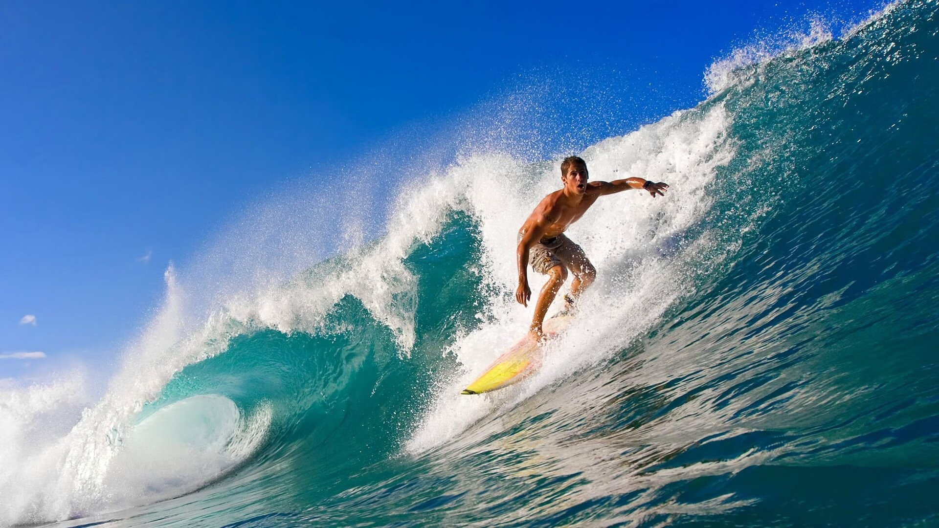 中国皮划艇队亚锦赛斩获三金两银 创历史最佳战绩